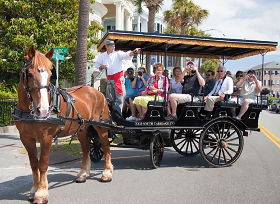 Myrtle Beach to Charleston with Horse & Carriage Ride, Harbor Cruise, Boone Hall