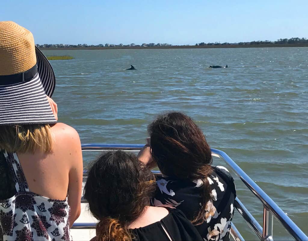 Charleston Marsh Eco Boat Cruise Tickets with stop at Morris Island Lighthouse