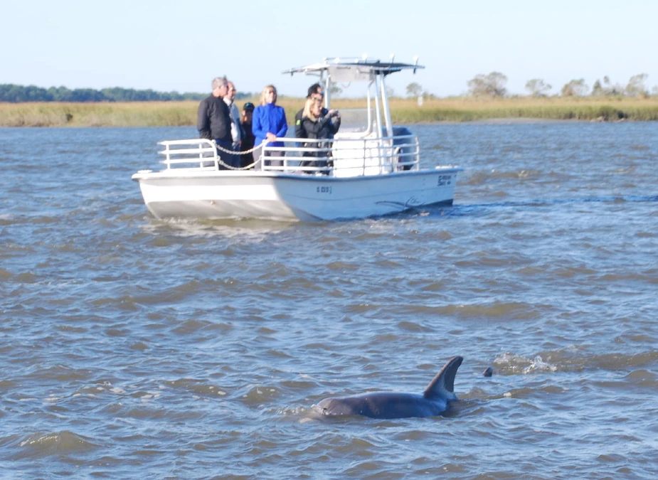 Tickets Dolphin and Eco Boat Tour Charleston