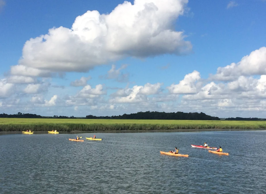 Tickets for Two-Hour Guided Kayak Eco Tour, Charleston