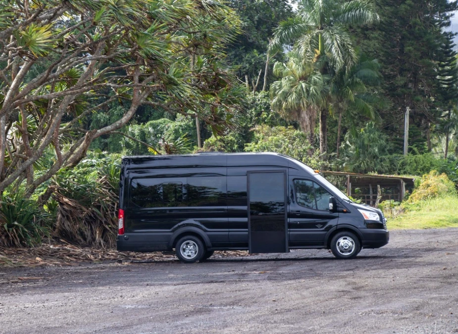 Famous Road to Hana Waterfalls & Lunch by Mercedes Van