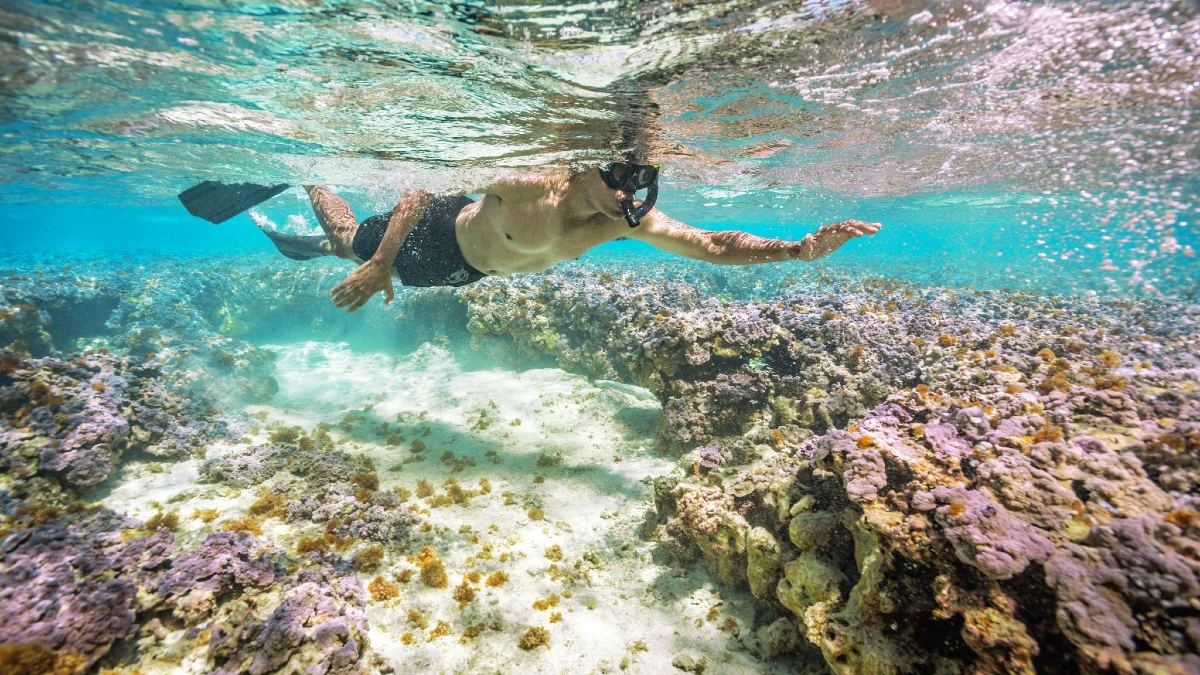 Hanauma Bay Snorkeling