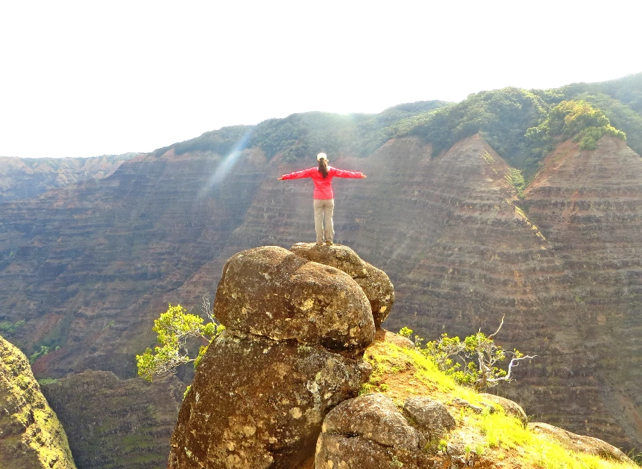 Kauai Waimea Canyon and Koke'e Tour with Lunch