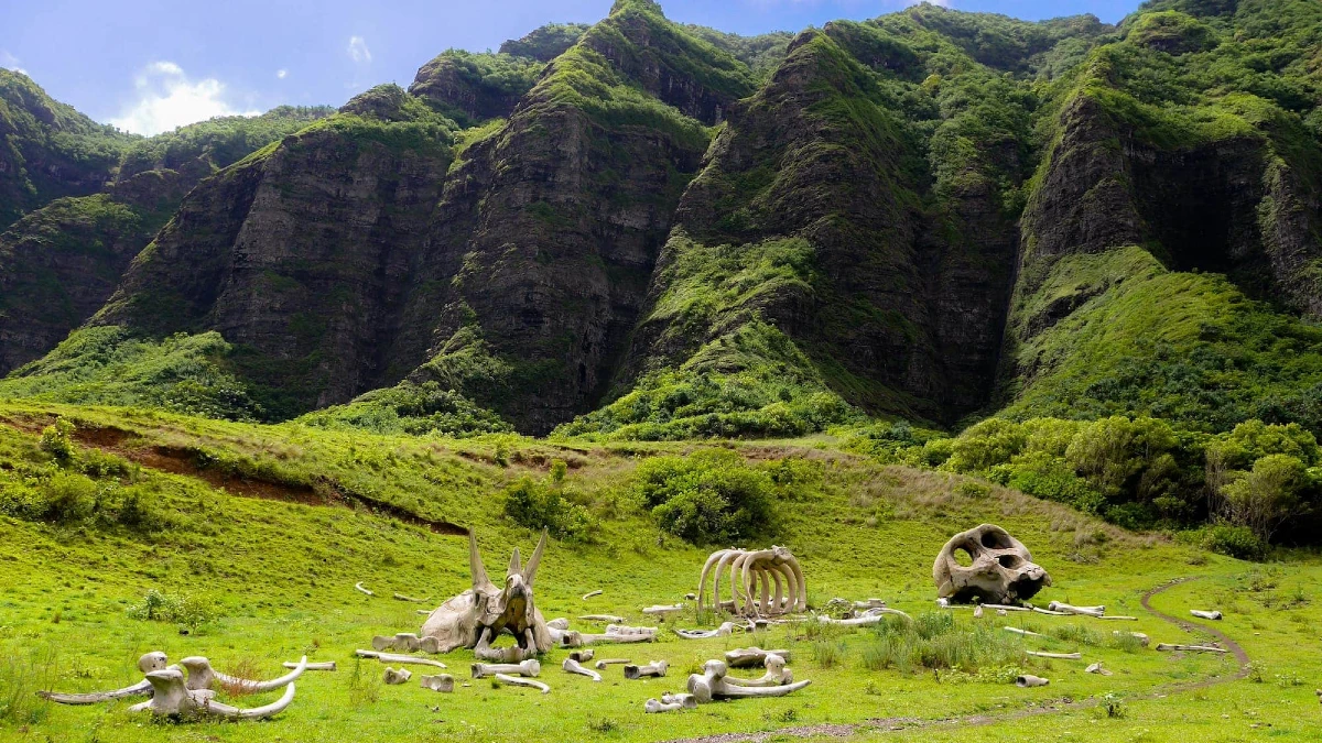 Kualoa Ranch tours