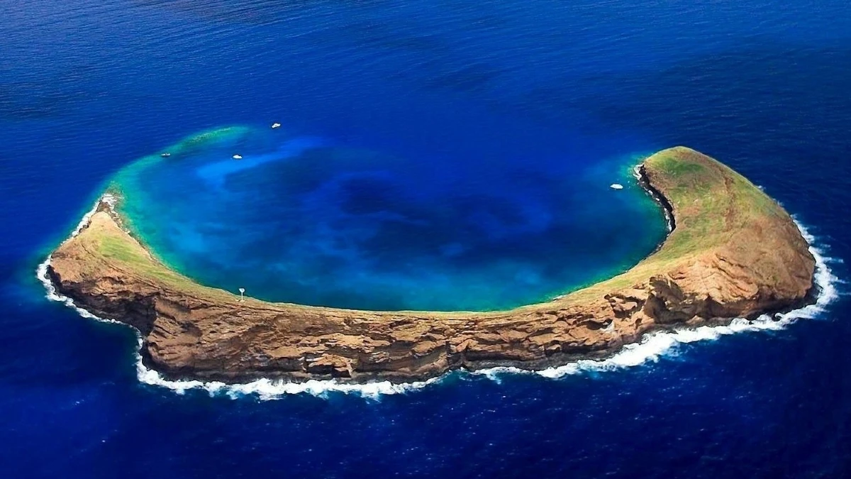 Molokini Crater Snorkeling