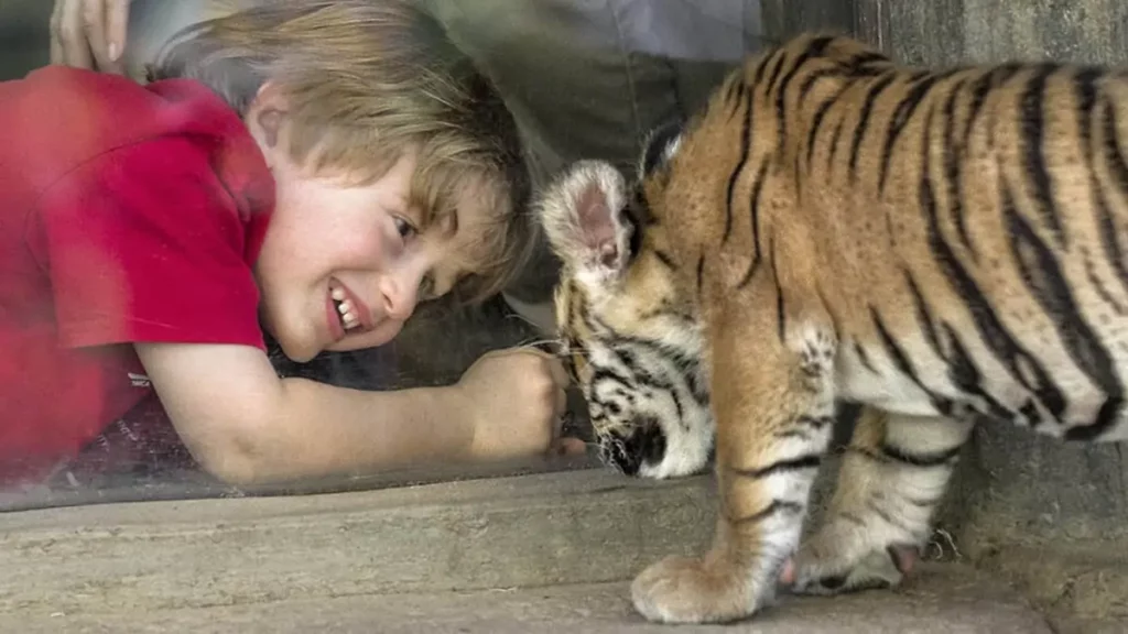 San Diego Zoo kasama ang mga bata