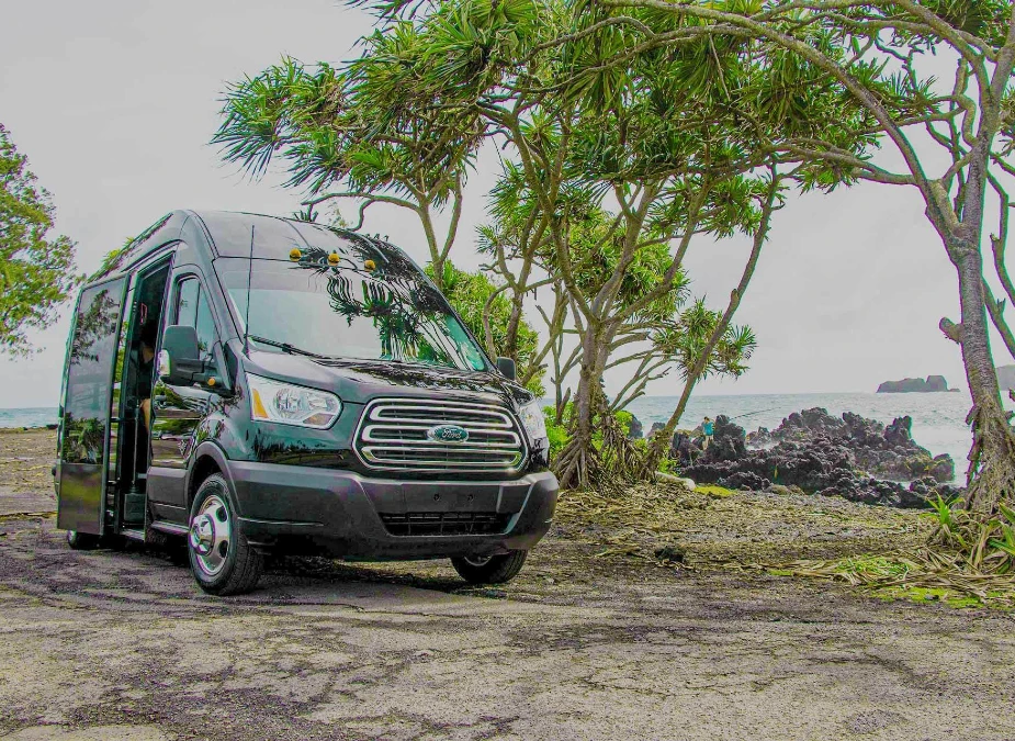 Small-Group Road to Hana Luxury Tour