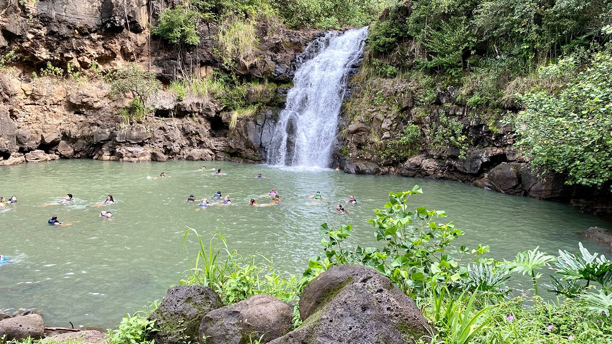 Waimea Waterfall