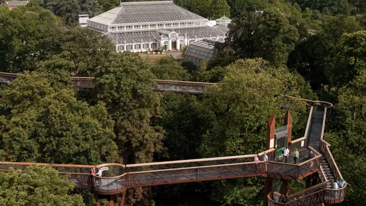 Kew Gardens Treetop walkway