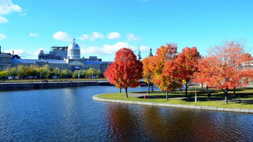 Trees with red leaves beside a lake in Canada