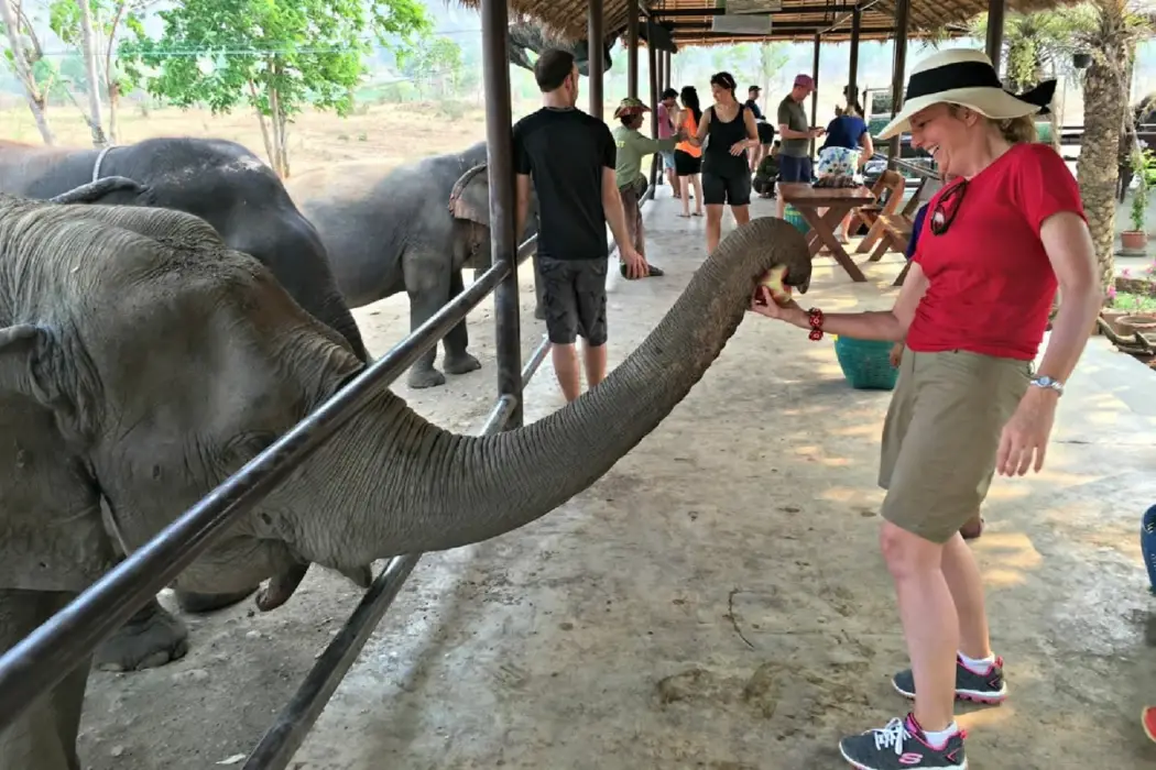 A person sitting near an elephant in a bamboo hut during an elephant experience